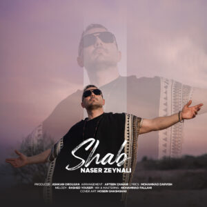 دانلود آهنگ ناصر زینعلی به نام شب